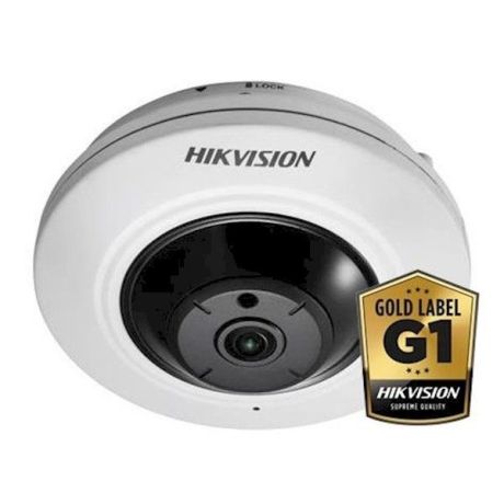 Hikvision DS-2CD2935FWD-I platte camera met 360 graden zicht